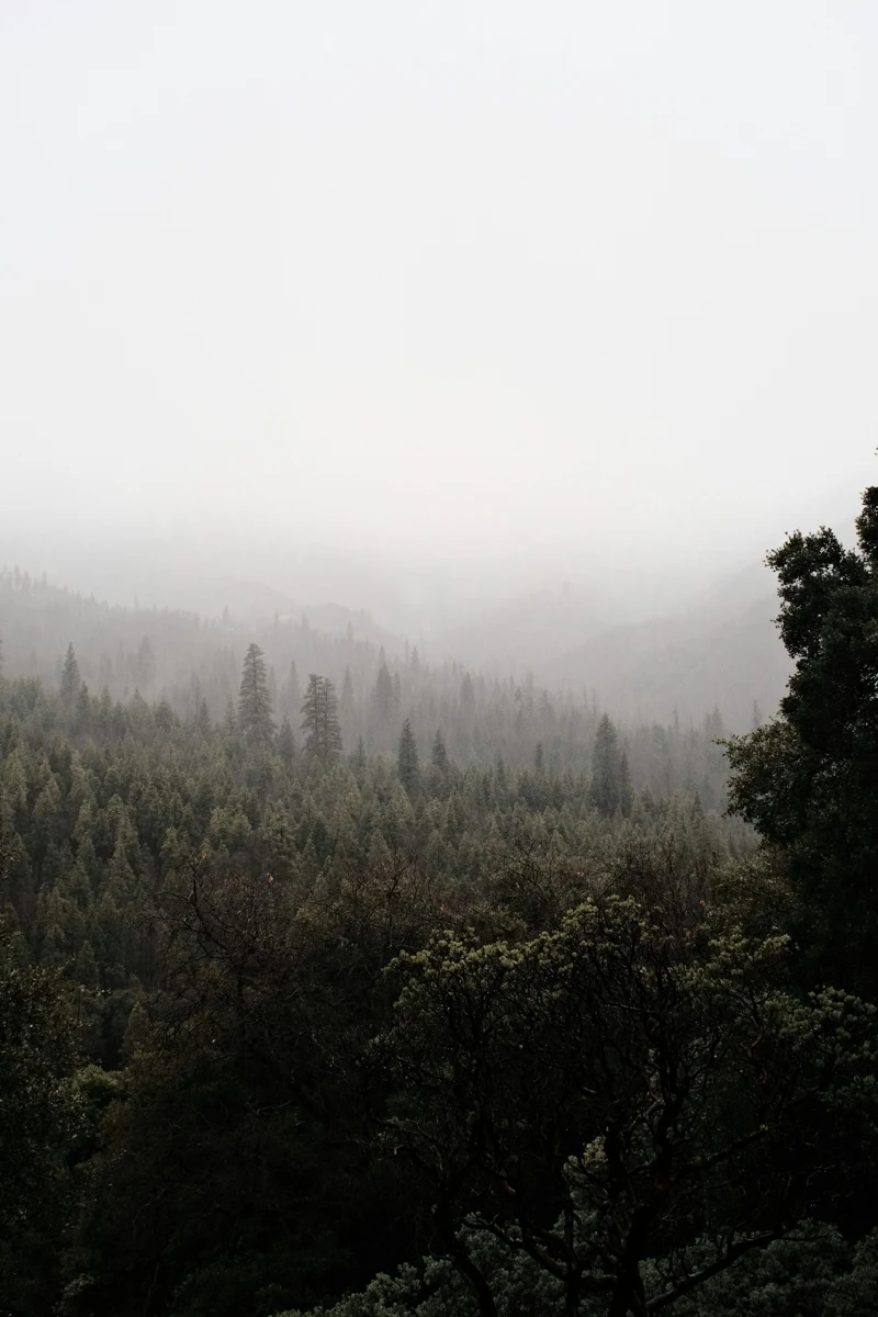 Imagen de ambiente para Impromptu Op. 90 No. 3