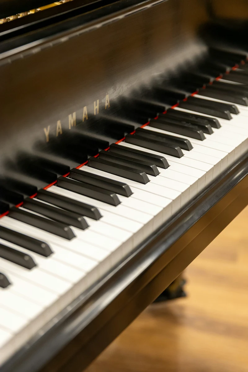 Imagen de ambiente para Estudios Op. 100