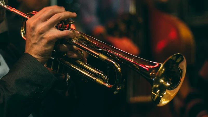 Imagen de ambiente para Maple Leaf Rag